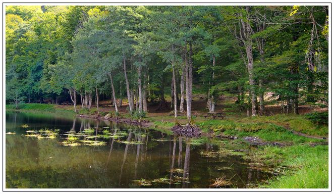 Etang de Picades