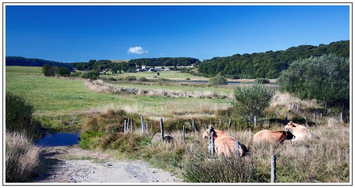 A côté de Montgrousset